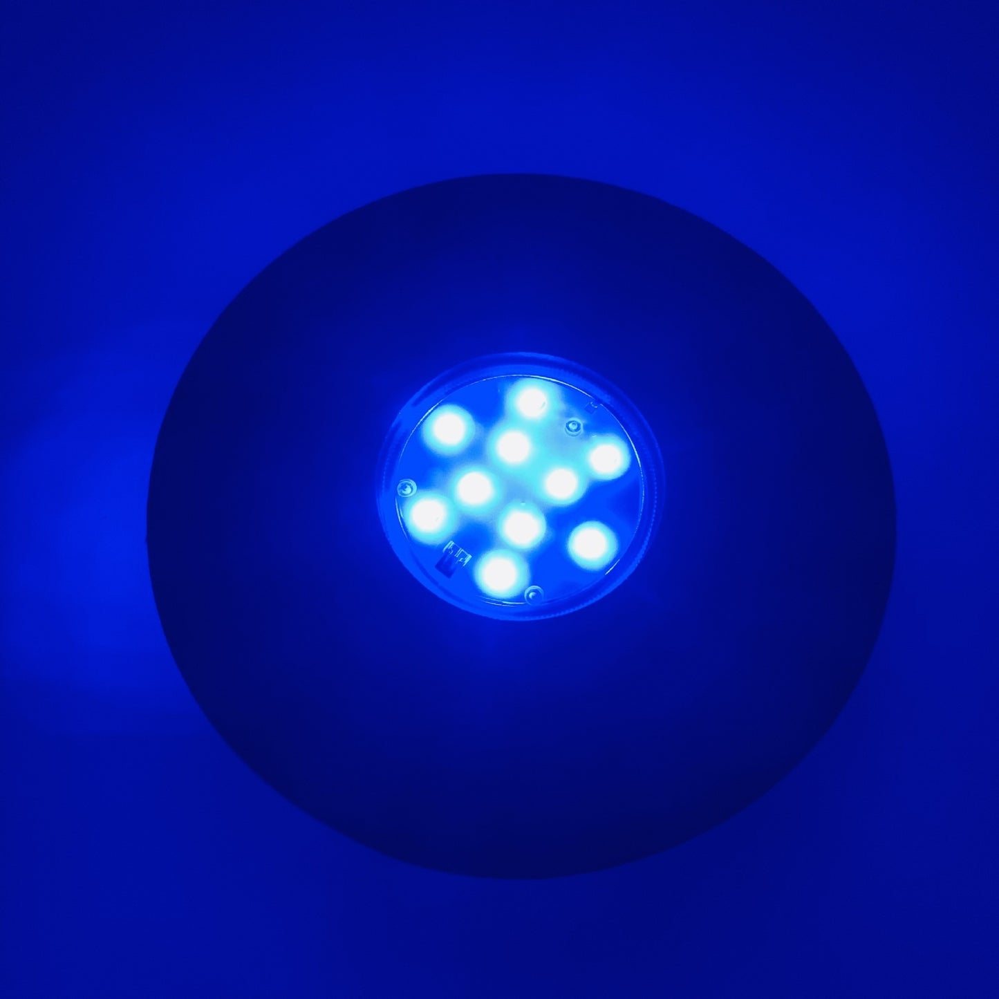 LED Light Sponge Base Hookah Accessories